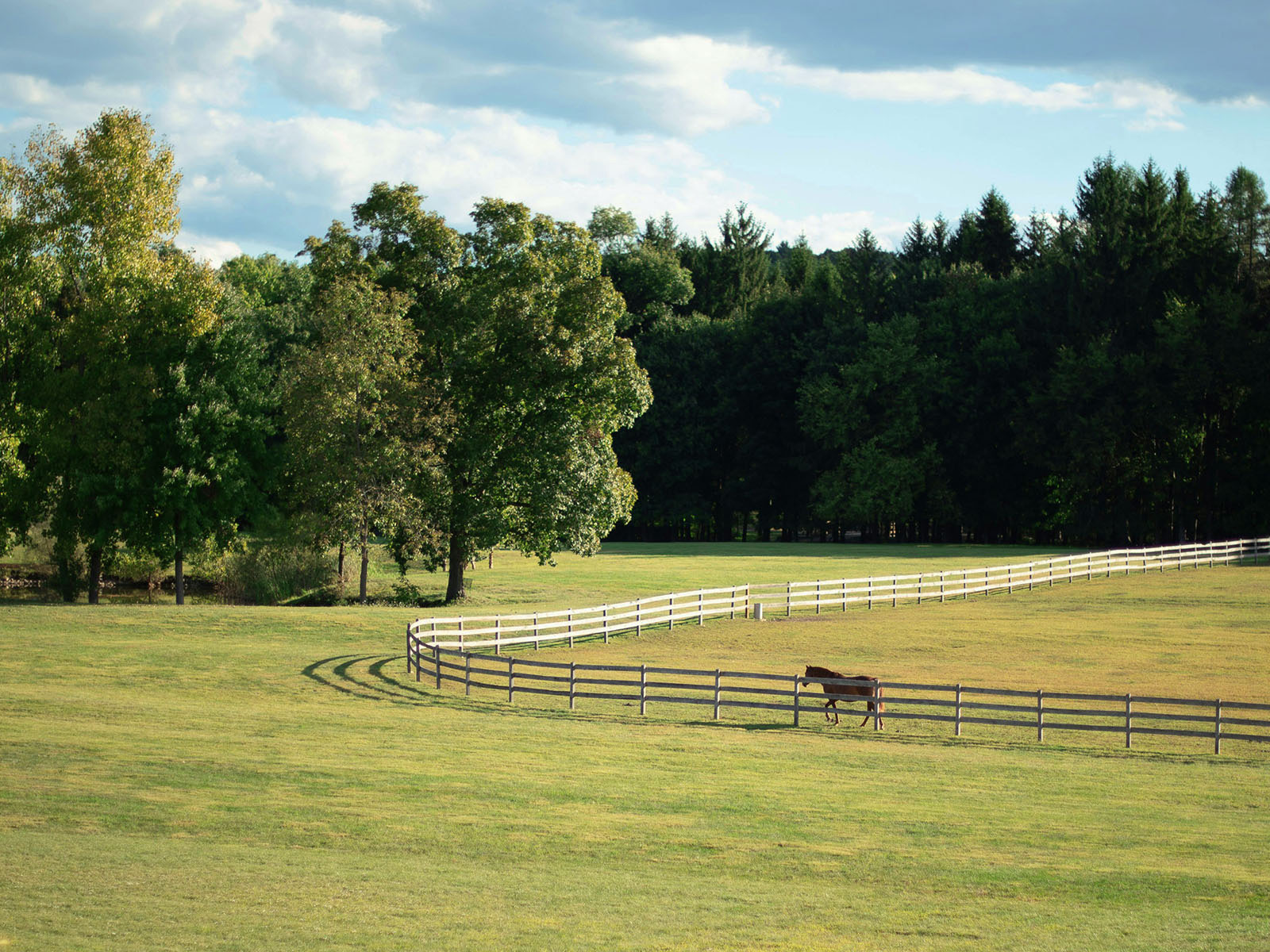 Article Image <p>Equine, Farm &amp; Ranch</p>