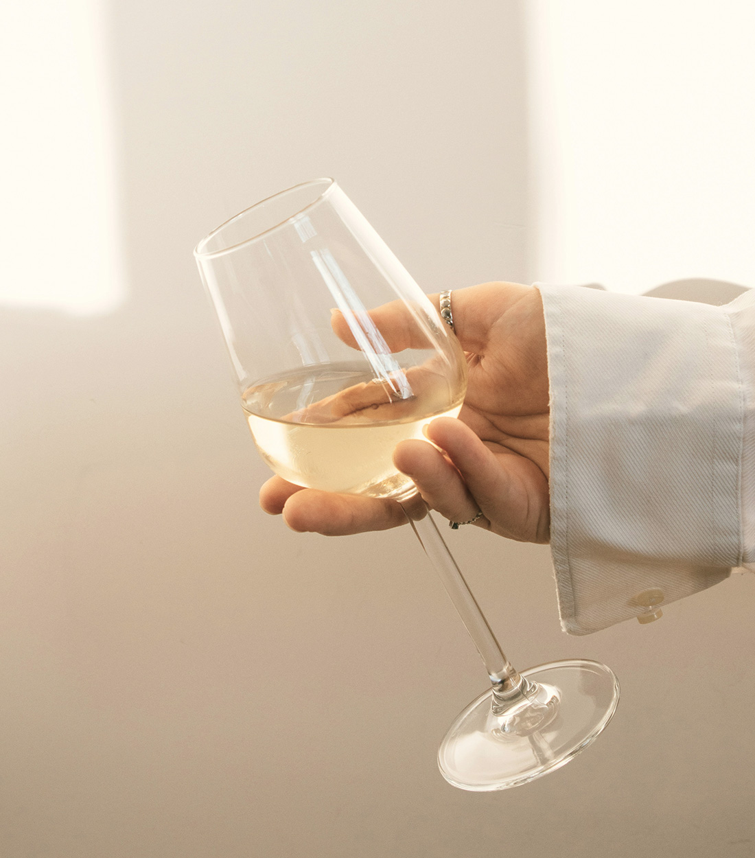 Article Image - <h1>All Clink, No Crash: 7 Things a Wine Collector Should Know</h1>