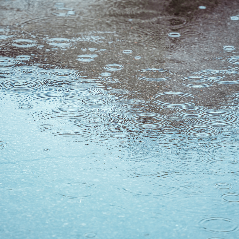 Article Image <h2 data-section-id="caojol" data-start="282" data-end="317"><strong data-start="285" data-end="317">Flood preparation and safety</strong></h2>
<p data-start="319" data-end="639"> </p>