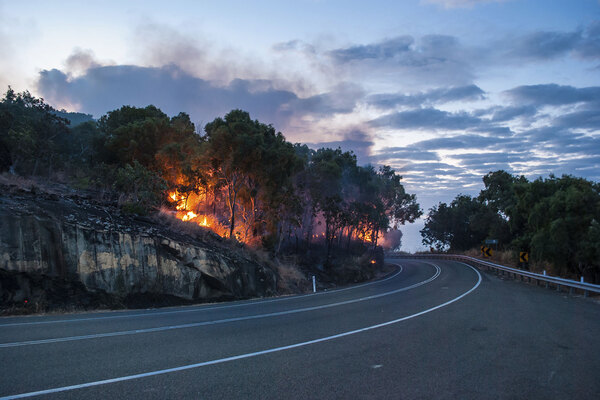 Wildfire in the woods near highway | Alliant Private Client