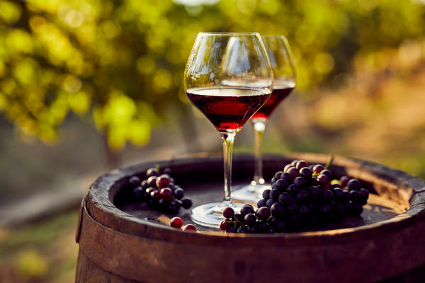 Pair of wine glasses at vineyard | Alliant Private Client